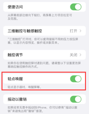 阳新苹果授权维修站分享iPhone轻点无法唤醒怎么办 