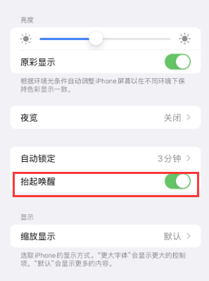 阳新苹果授权维修站分享iPhone轻点无法唤醒怎么办