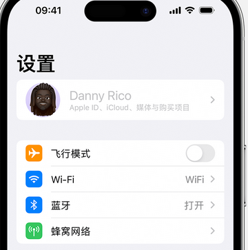 阳新appleID维修服务iPhone设置中Apple ID显示为灰色无法使用