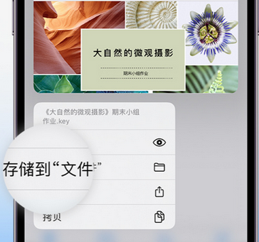 阳新apple维修中心分享iPhone文件应用中存储和找到下载文件