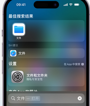 阳新apple维修中心分享iPhone文件应用中存储和找到下载文件 