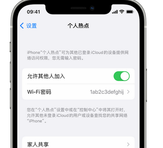 阳新apple服务站点分享iPhone上个人热点丢失了怎么办 