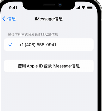 阳新apple维修iPhone上无法正常发送iMessage信息 