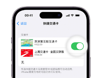 阳新apple维修点分享iPhone上更换Apple Pay快捷交通卡手绘卡面 