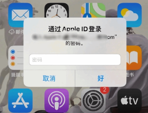 阳新苹果设备维修分享无故多次要求输入AppleID密码怎么办 