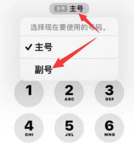 阳新苹果14维修店分享iPhone 14 Pro Max使用副卡打电话的方法 