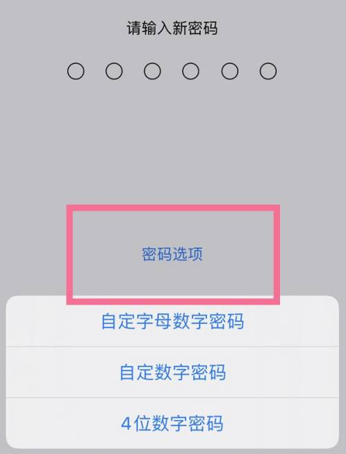 阳新苹果14维修分享iPhone 14plus设置密码的方法 