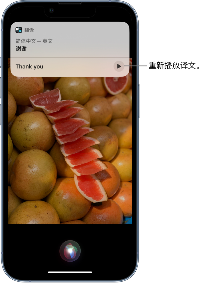 阳新苹果14维修分享 iPhone 14 机型中使用 Siri：了解 Siri 能帮你做什么 