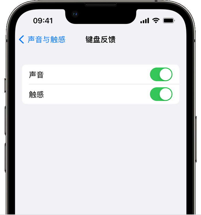 阳新苹果14维修分享iPhone 14 系列机型如何开启键盘声音或触感反馈 