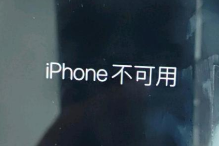 阳新苹果服务网点分享锁屏界面显示“iPhone 不可用”如何解决 