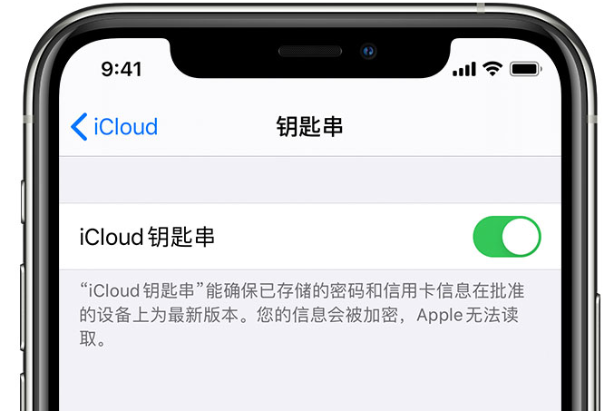 阳新苹果手机维修分享在 iPhone 上开启 iCloud 钥匙串之后会储存哪些信息 