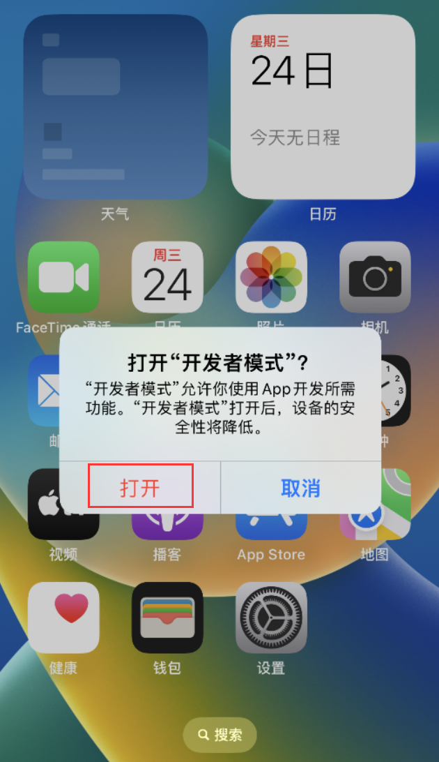 阳新苹果手机维修分享如何打开开发者模式 