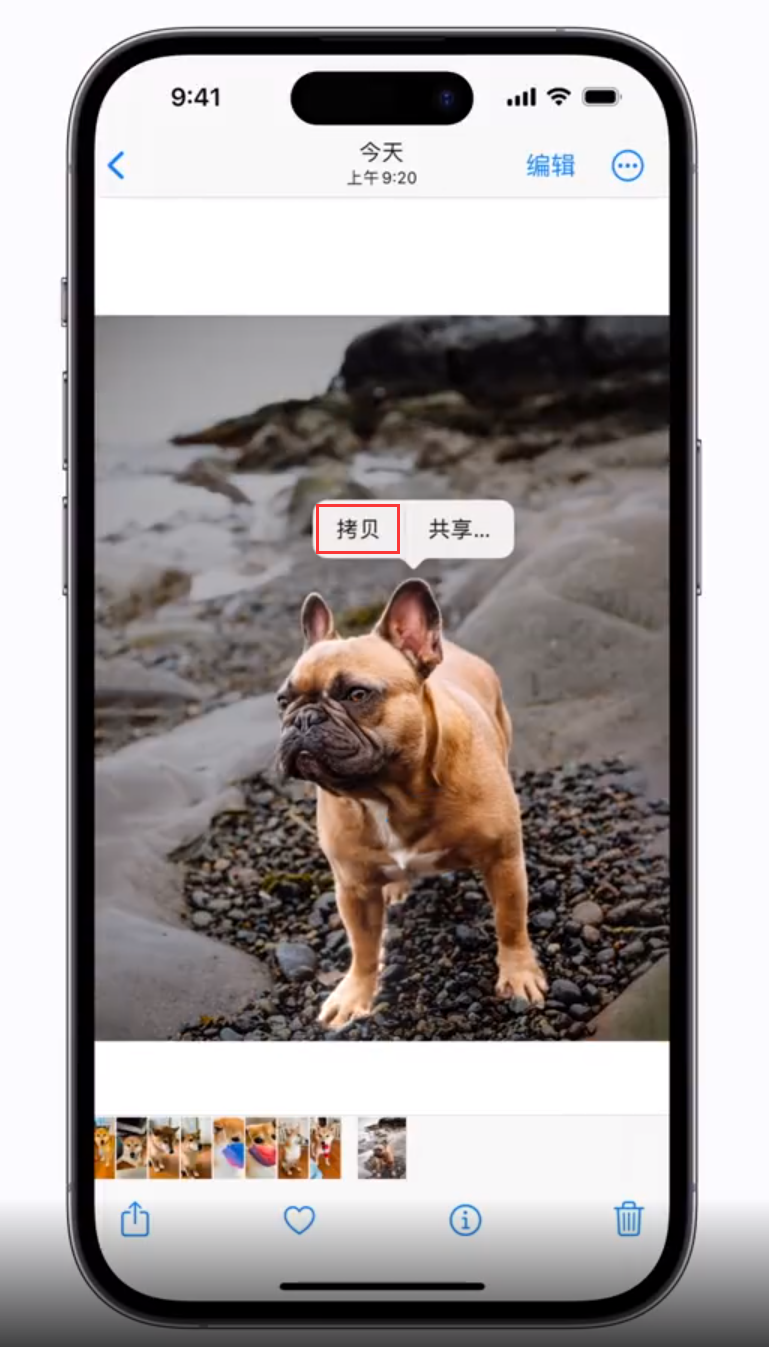 阳新苹果手机维修分享 iOS 16 自带一键抠图功能 