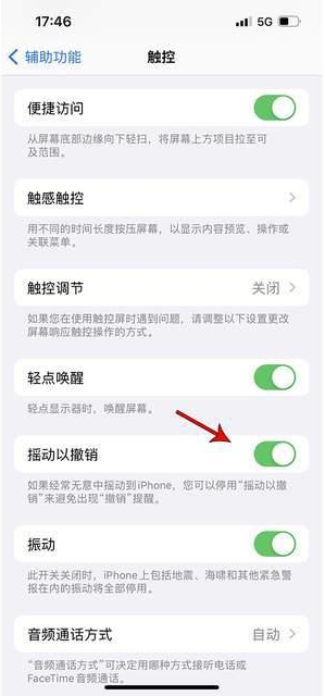 阳新苹果手机维修分享iPhone手机如何设置摇一摇删除文字 