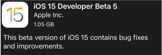 阳新苹果手机维修分享如何升级到iOS15.0 beta5 