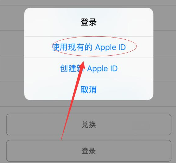 阳新苹果手机维修分享两台iPhone设备可以同时登录一个Apple ID吗 