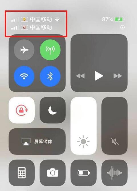 阳新苹果手机维修分享为 iPhone 12 双卡设置标签 