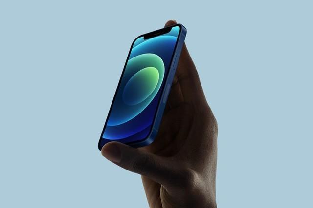 阳新苹果手机维修分享iPhone 12 mini辐射很大吗 